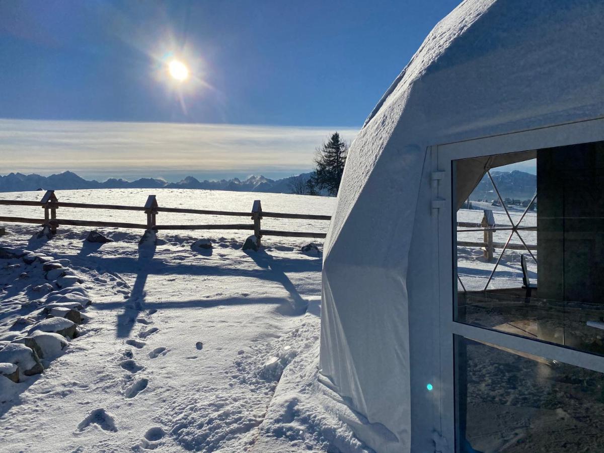Glamping Pasieka Namiot Glamp Bukowina Tatrzanska - Domki W Gorach Groń Eksteriør billede