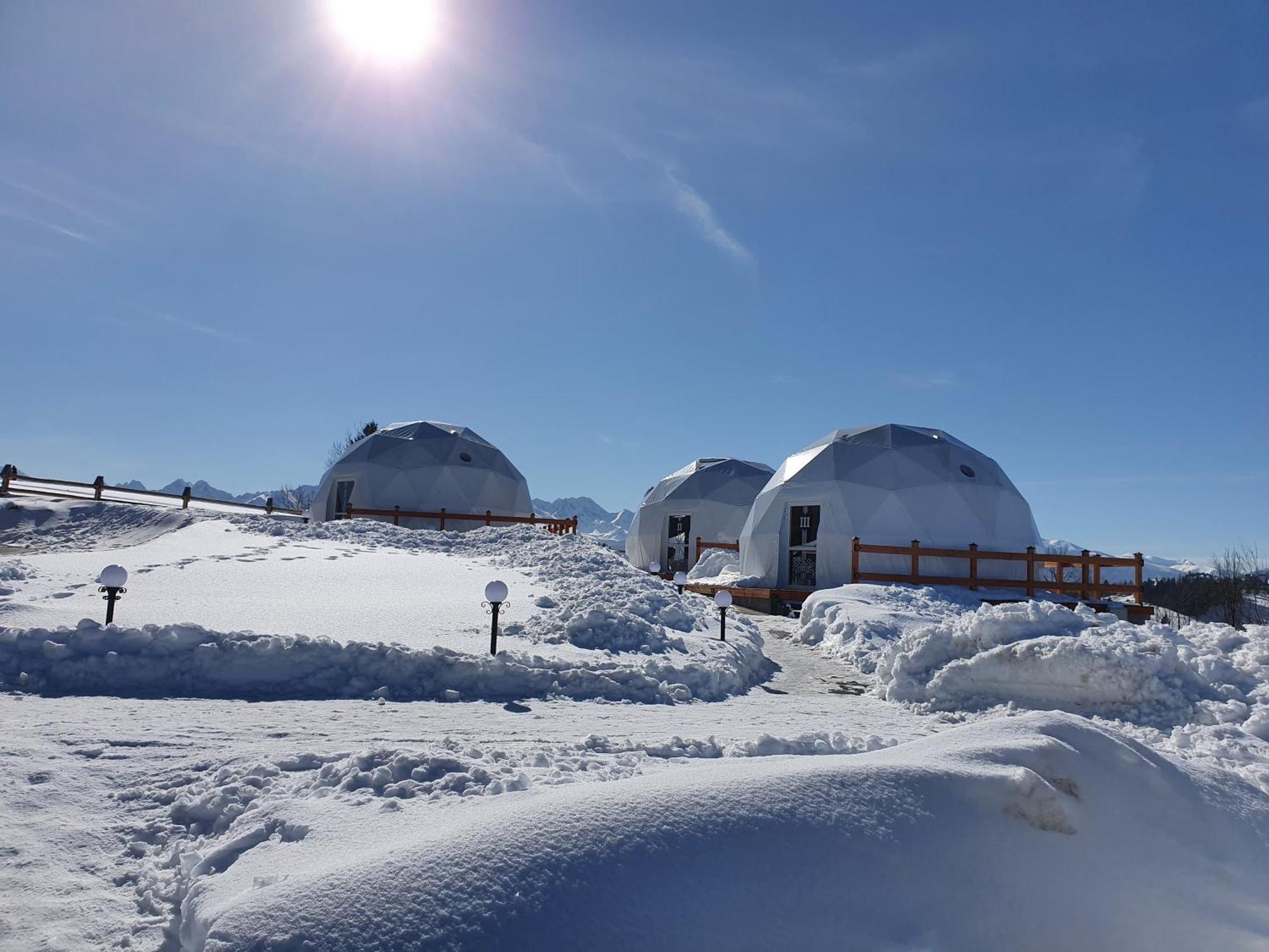 Glamping Pasieka Namiot Glamp Bukowina Tatrzanska - Domki W Gorach Groń Eksteriør billede