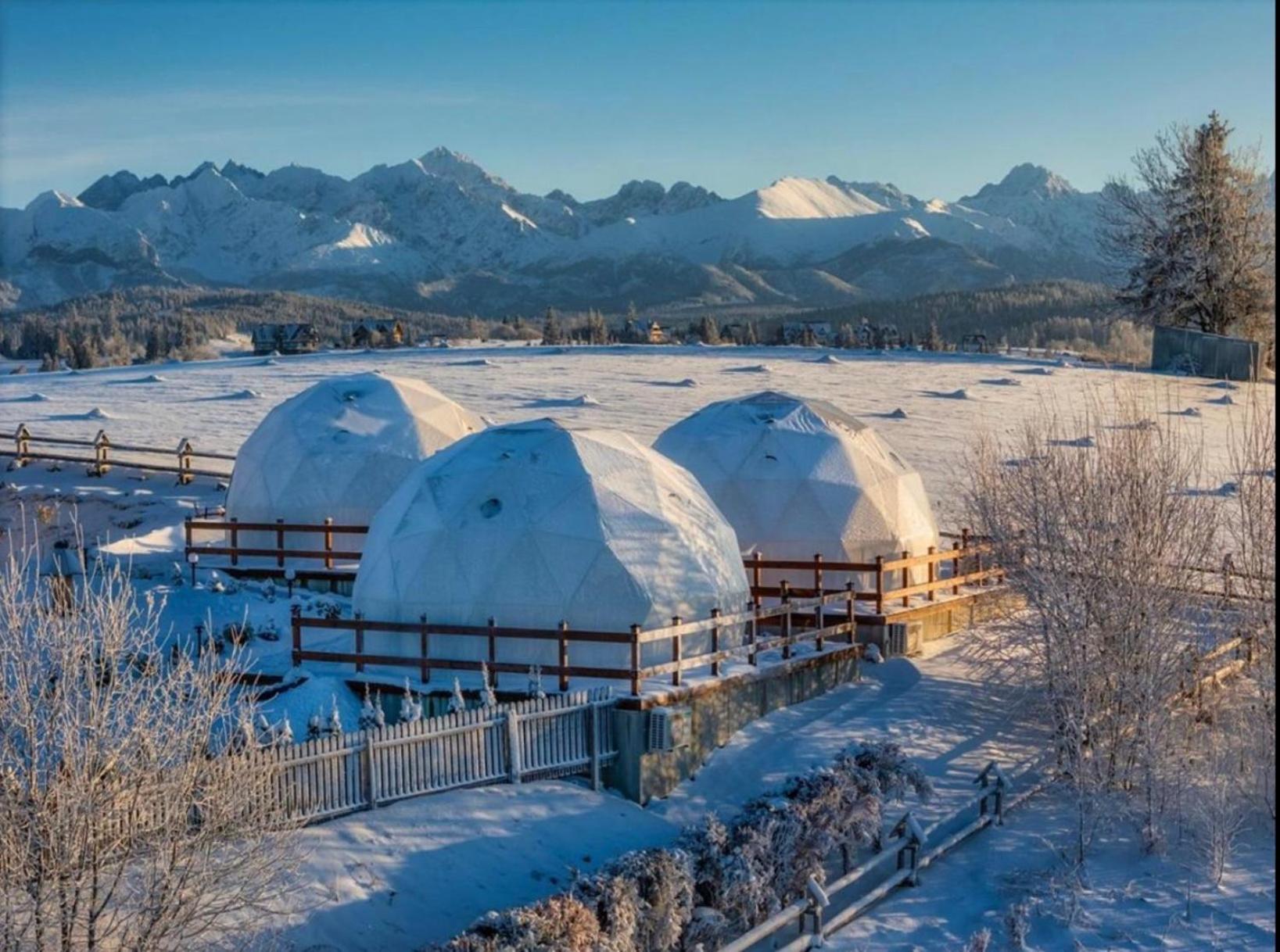Glamping Pasieka Namiot Glamp Bukowina Tatrzanska - Domki W Gorach Groń Eksteriør billede
